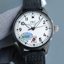 IWC 시계 (해외배송)