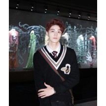 구찌 클래식 비 V넥 컬리지 스웨터 (해외배송)
