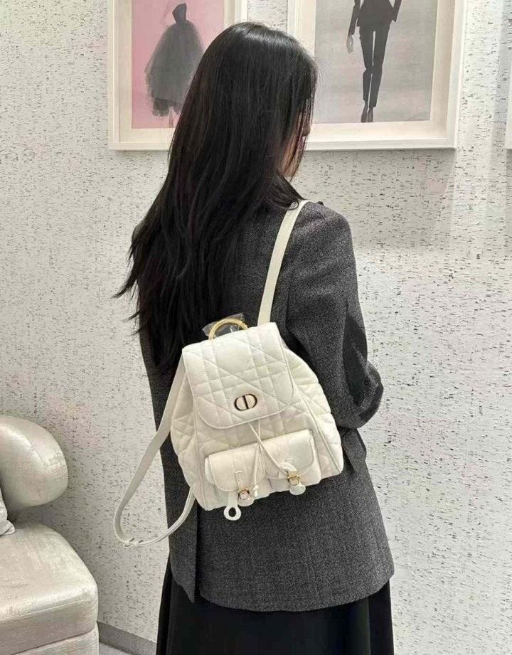 디올 카로백팩  (국내배송)