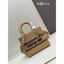 디올 레이디 라이트 백 (해외배송)