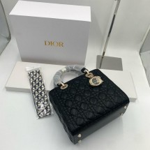 디올 레이디백 (특급판) (국내배송)