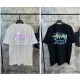 스투시 오로라티 (국내배송)