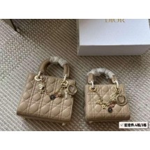 디올 레이디백 (국내배송)