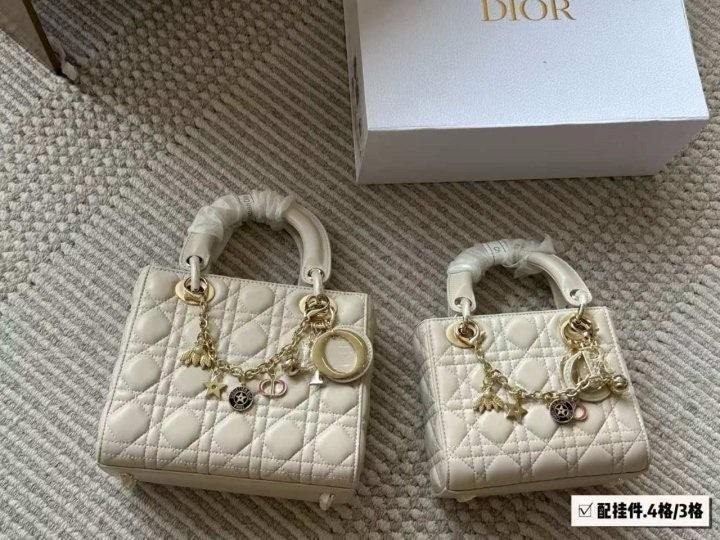 디올 레이디백 (국내배송)