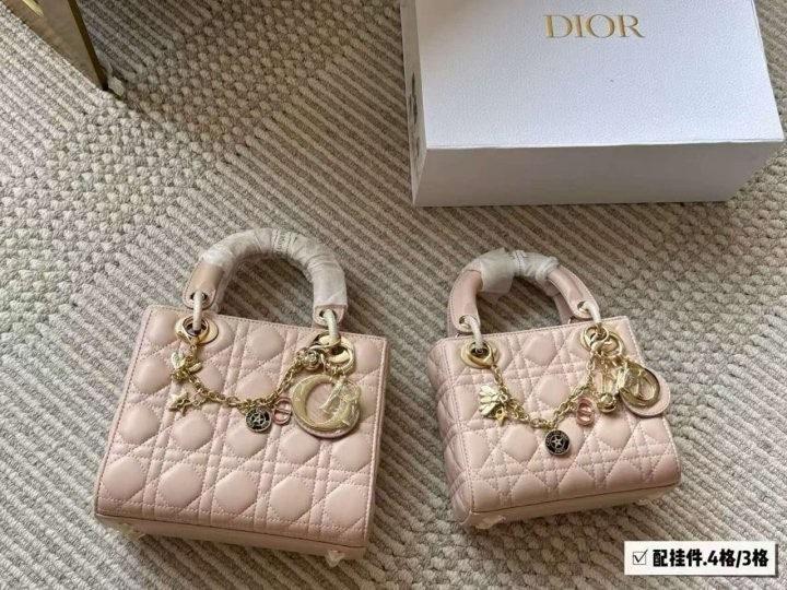 디올 레이디백 (국내배송)