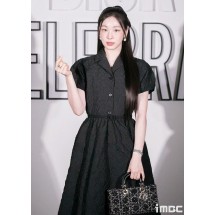 디올 가방 (국내배송)